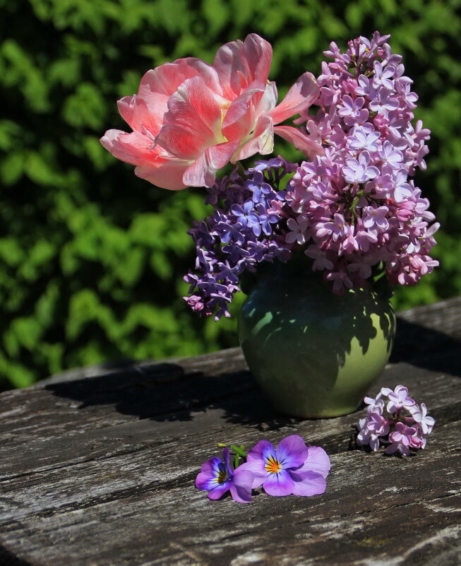 Уходящий майский день .. ... - Татьян@ Ивановна