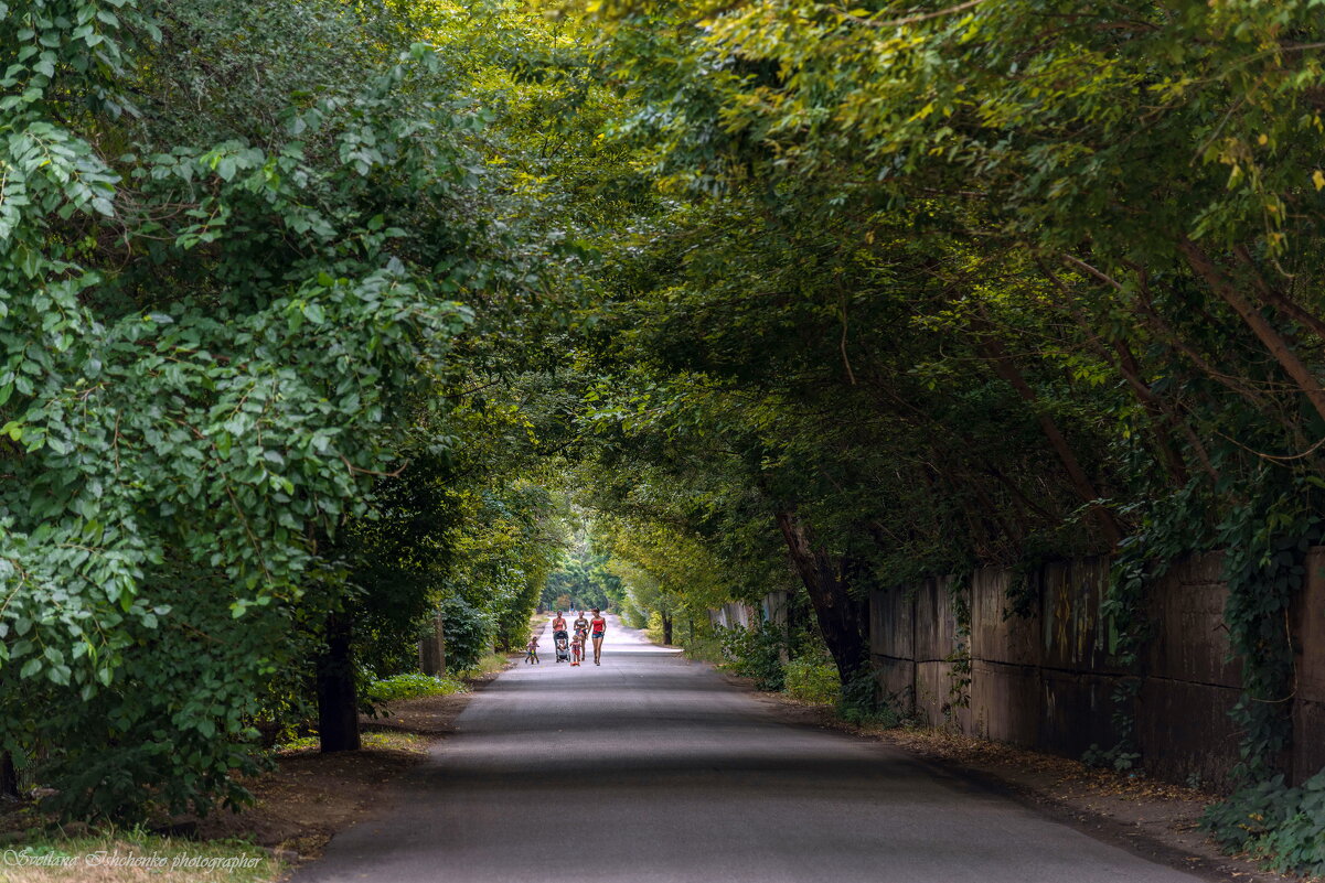 Зелёный тоннель - Светлана Ищенко