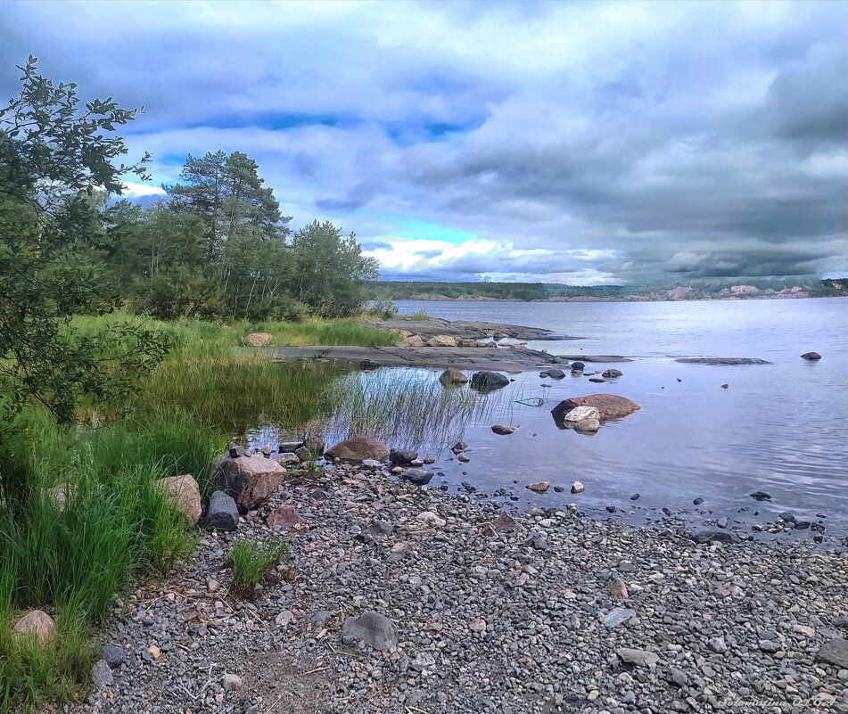 Ладога - Ольга Cоломатина