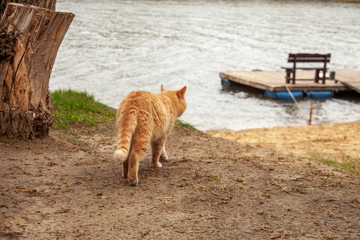 * - Валерий Елистратов