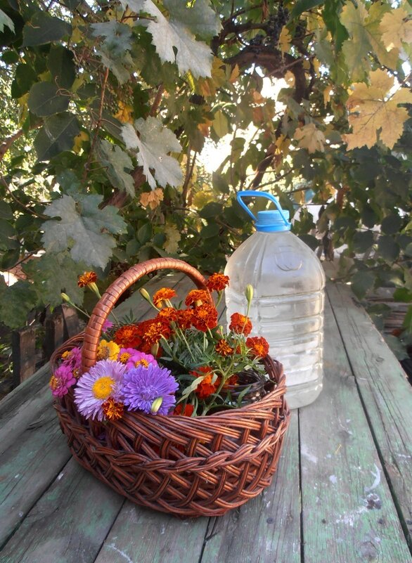 Уже осень... - Наталья 