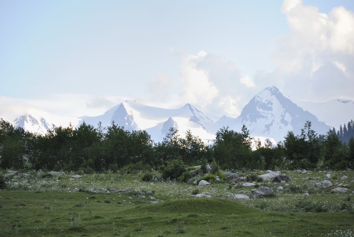 Высоко-высоко - Марина Виноградова