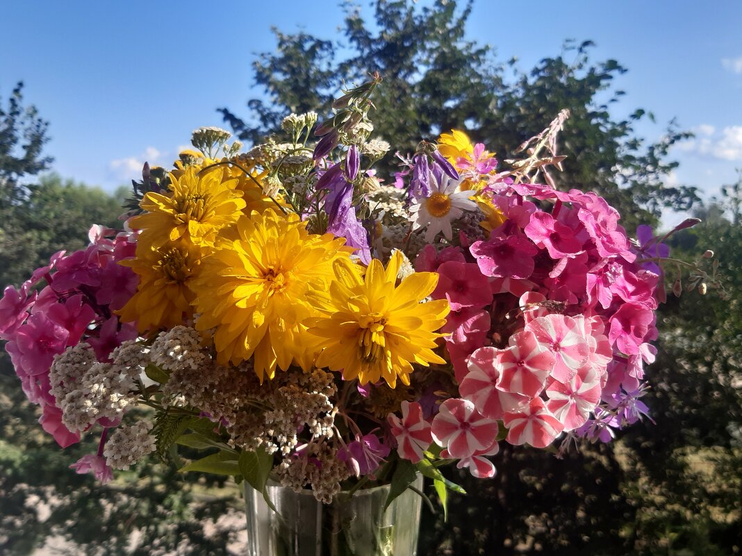 И снова провожаем лето,а кажется оно пришло к нам лишь вчера! - Нина Андронова