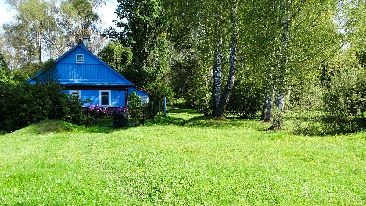 Домик в деревне (репортаж из поездок по области). - Милешкин Владимир Алексеевич 