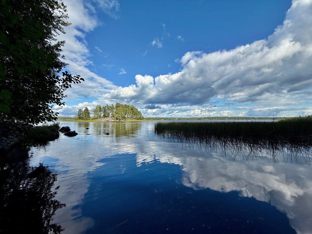 тебе половина и мне половина - Сергей Б.