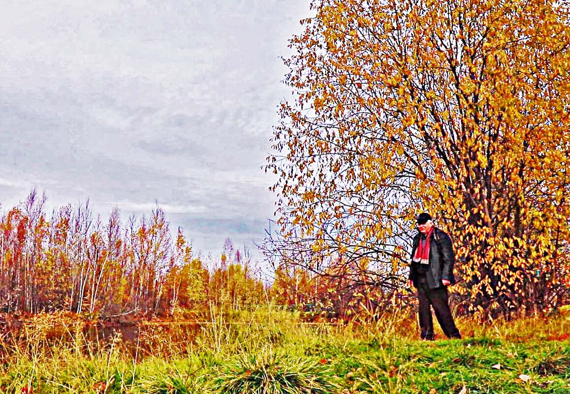 Сентябрь...Золотая осень за городом! - Владимир 