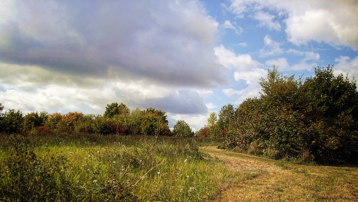 Конец августа - Андроник Александр 