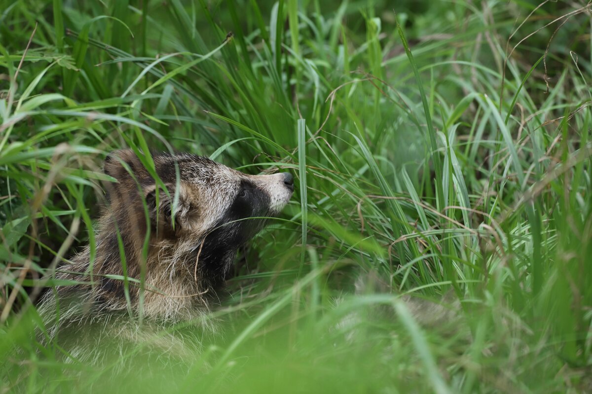На отдыхе - Овсечук Мария 