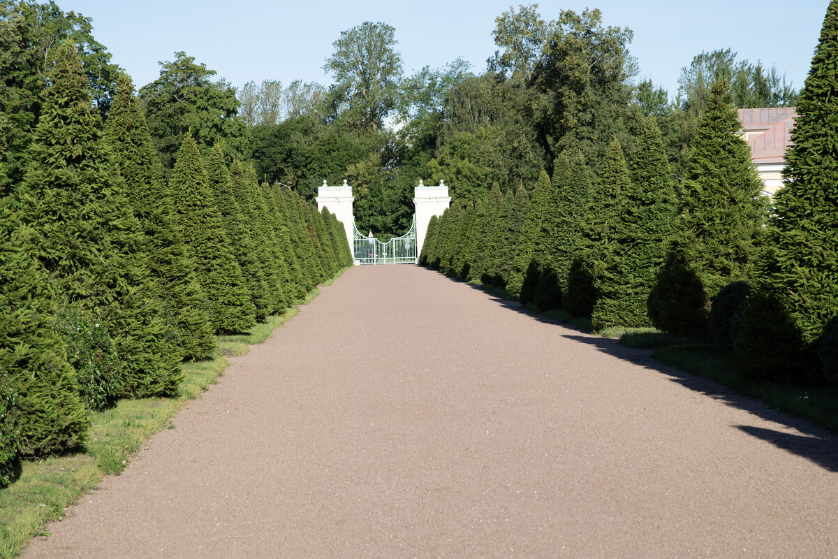 Аллея - Валерий Пославский Аллея - Валерий Пославский