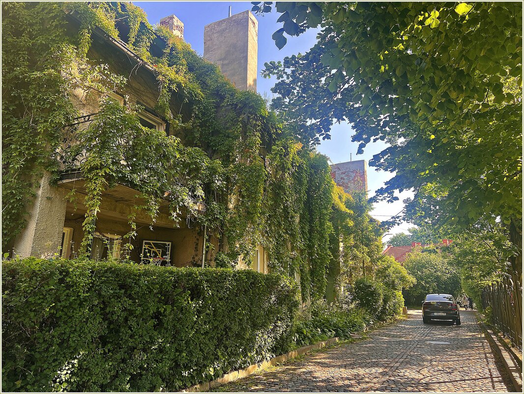 Зелёная улочка. - Валерия Комова