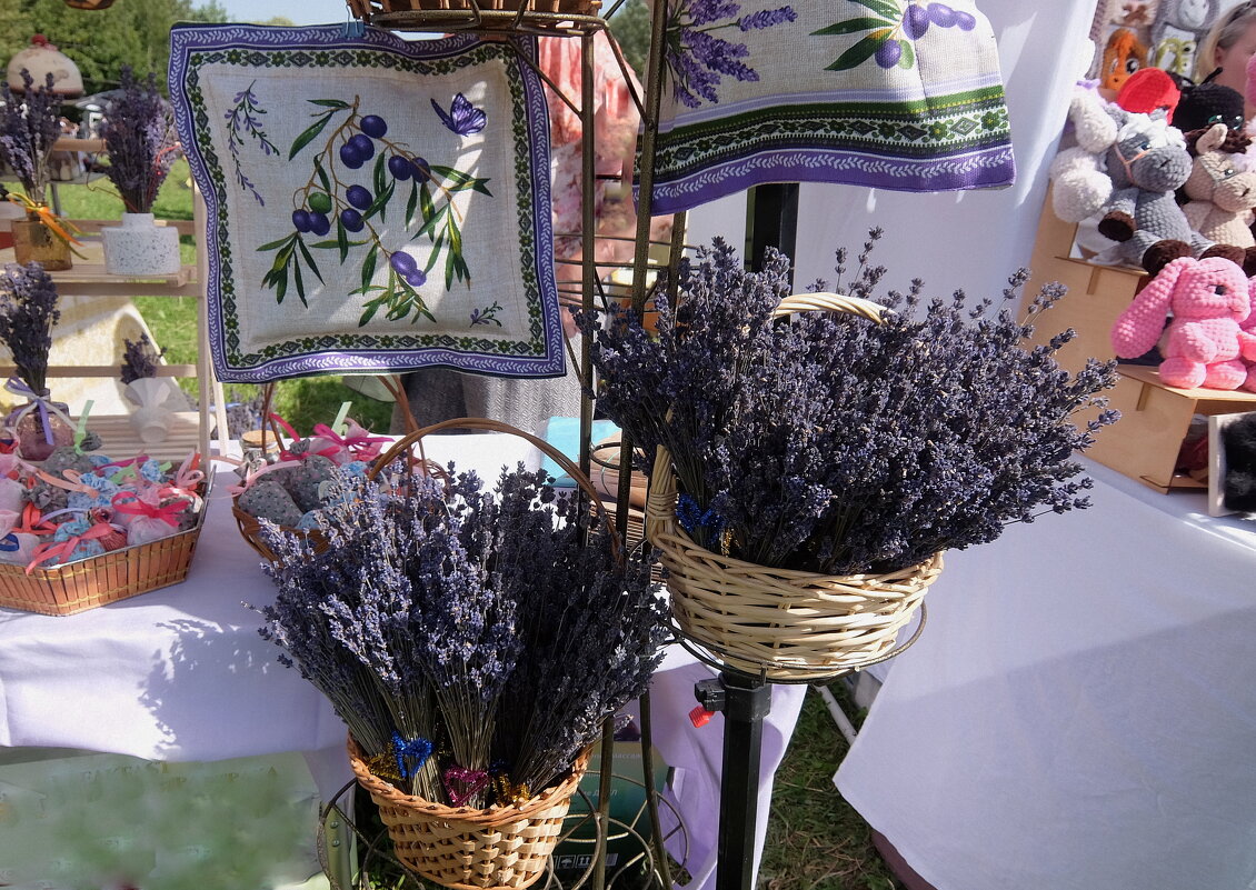 Лавандовое настроение. - Люба 