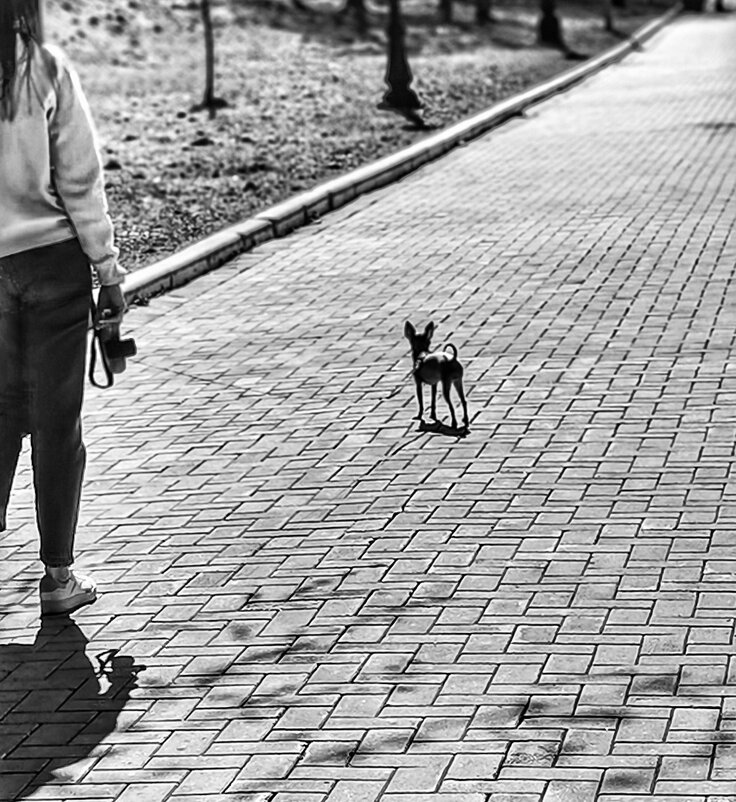 Черно-белая фотография - Любимова Ольга 