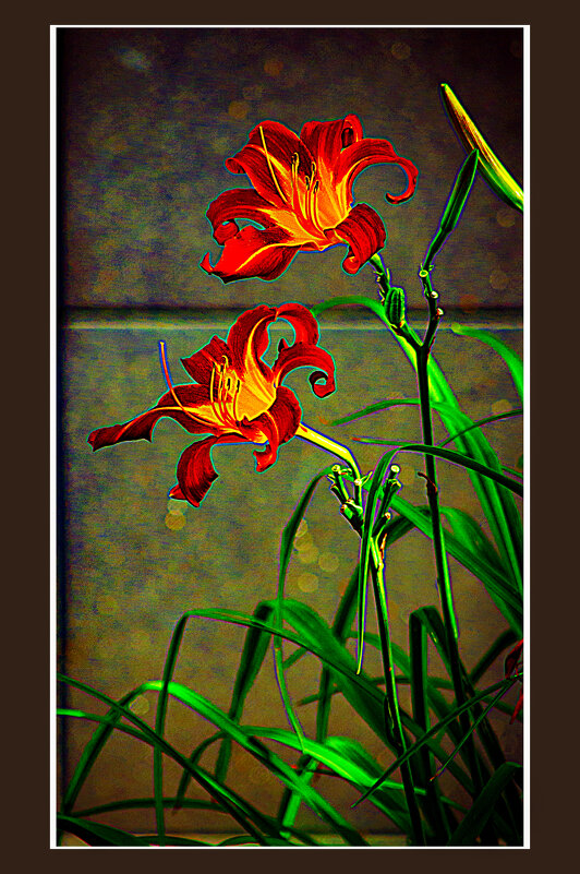 ЛИЛИИ - Владимир Кроливец