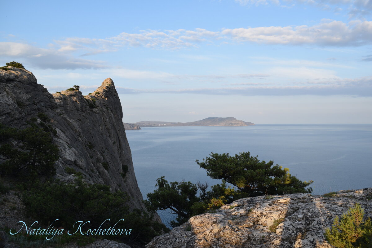 Природа Крыма - Amazing Cosmea