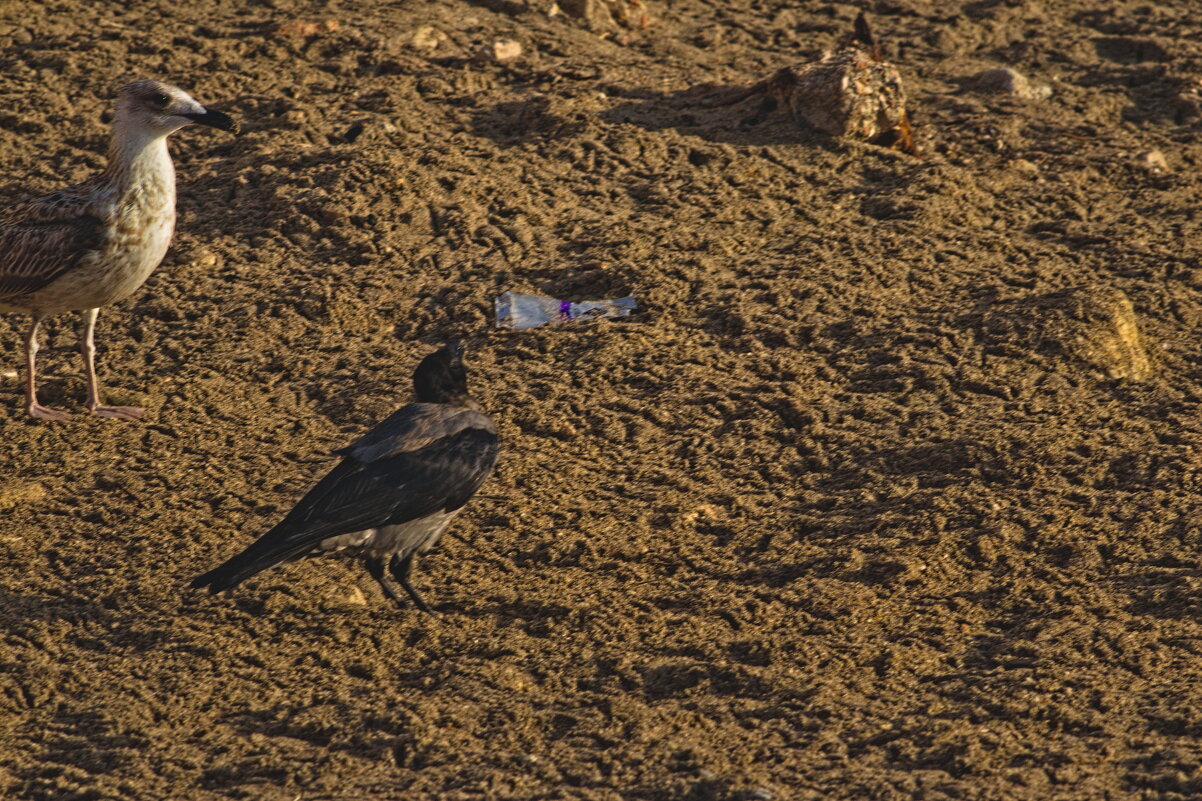 Эй чушпан ,ты на моем Районе ... Понял - Giant Tao /