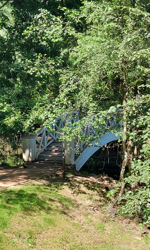 Горбатый мостик - ИРЭН@ .