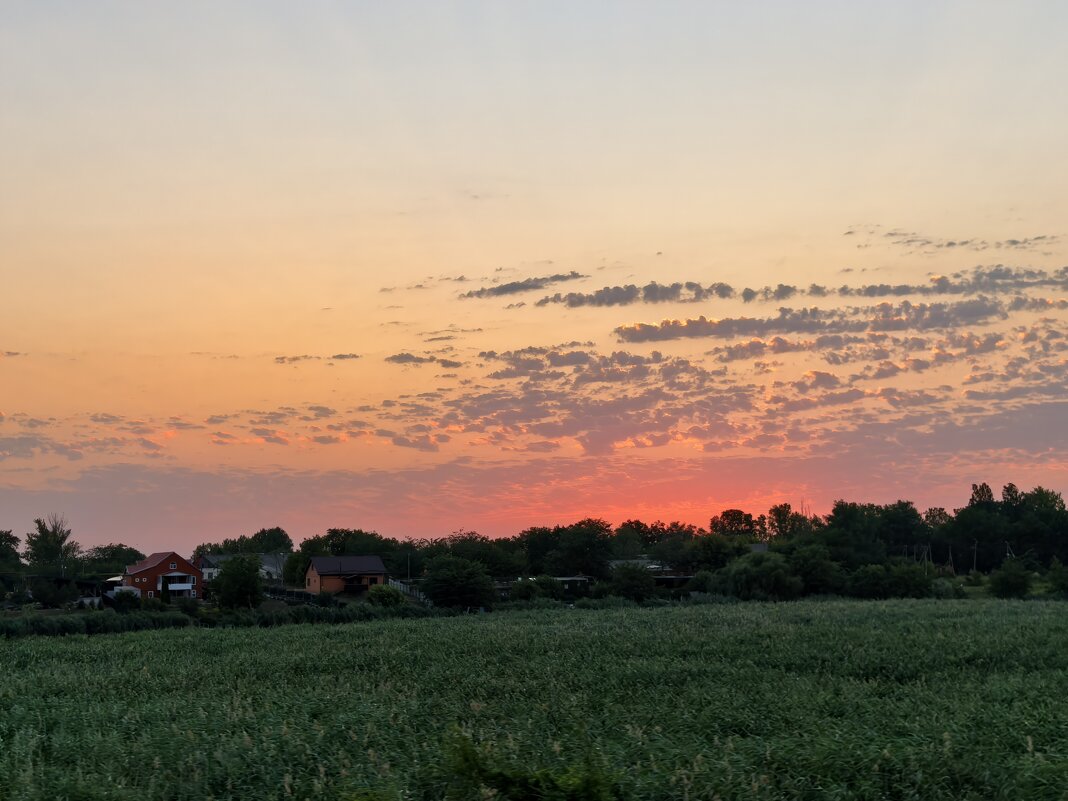 Закат в поле - Татьяна Михайлова