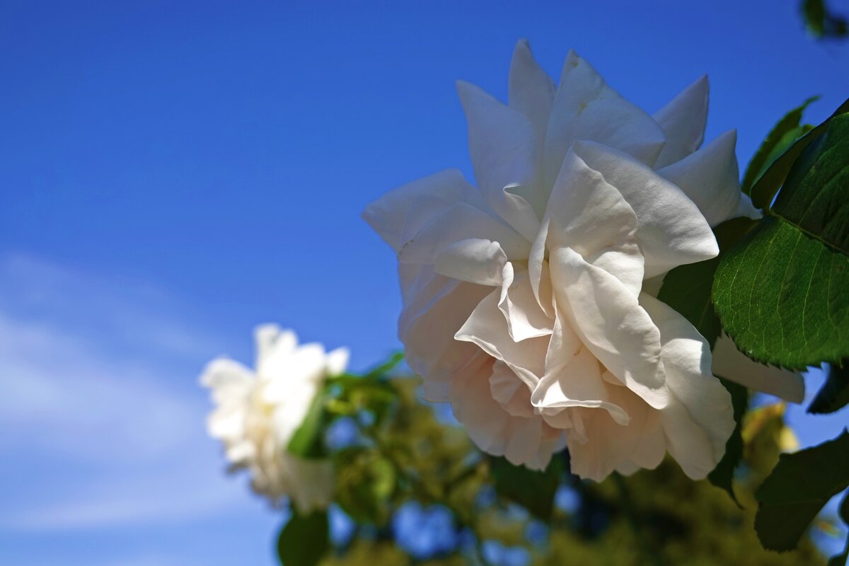 А завтра... Осень! - Галина 