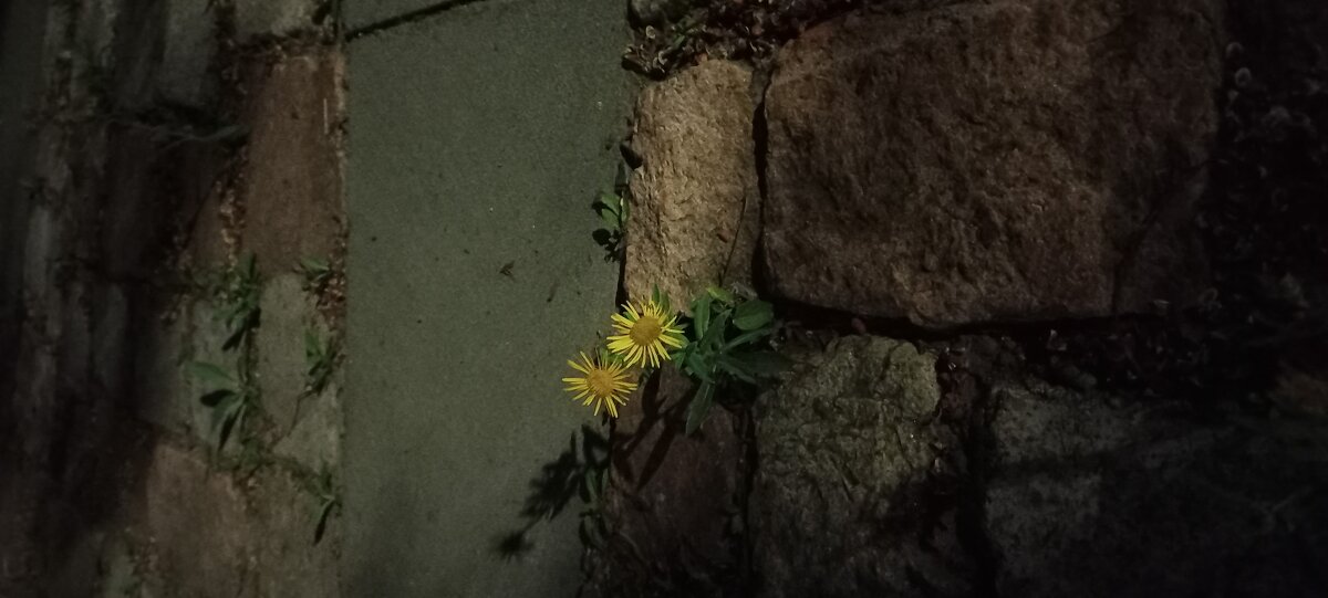 Двое - Елена Рекк