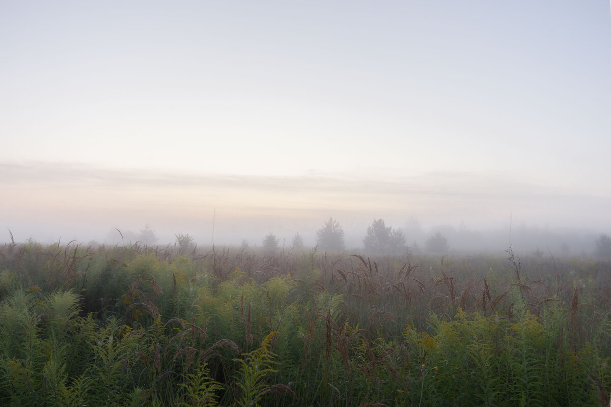Утро - Олег Дорошенко
