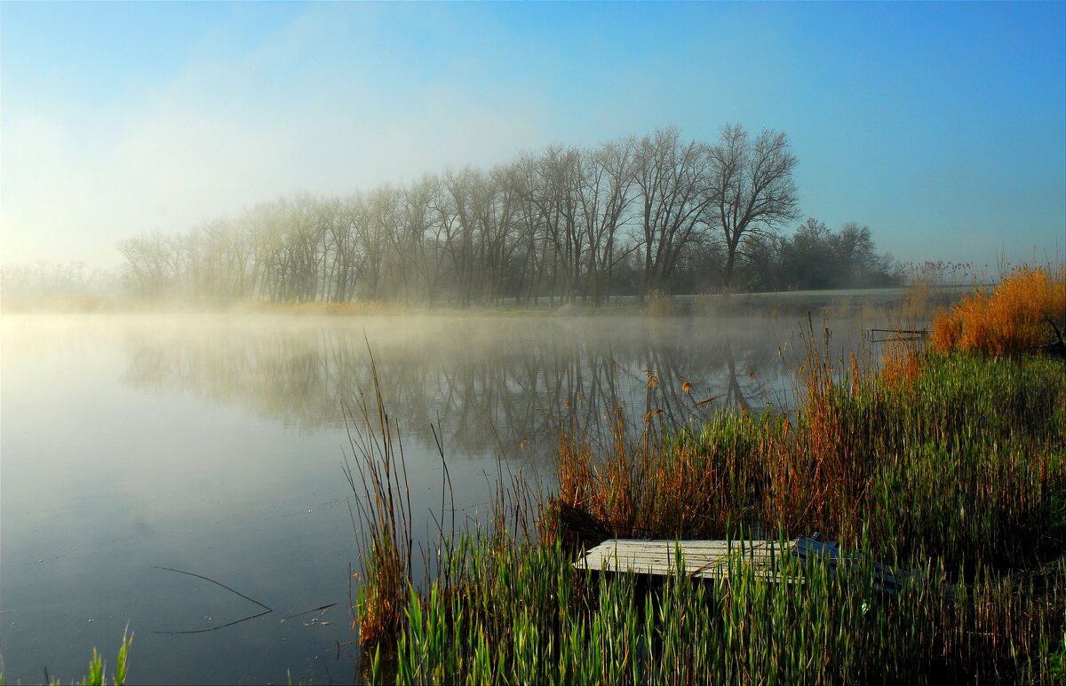 Утро. - Владимир 