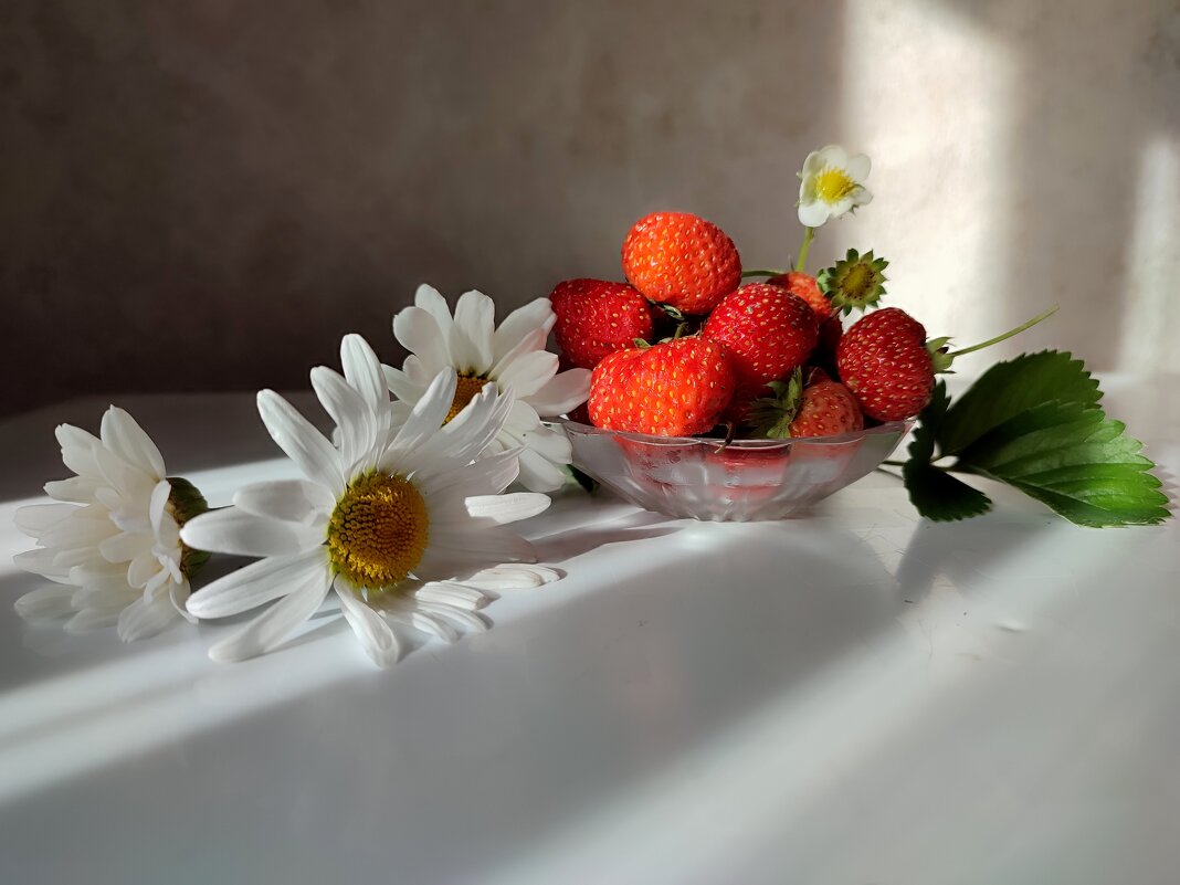 Прощай лето - Валентина Богатко 