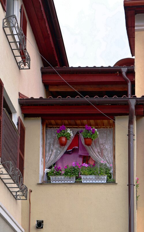 Окно во двор - Сергей Карачин