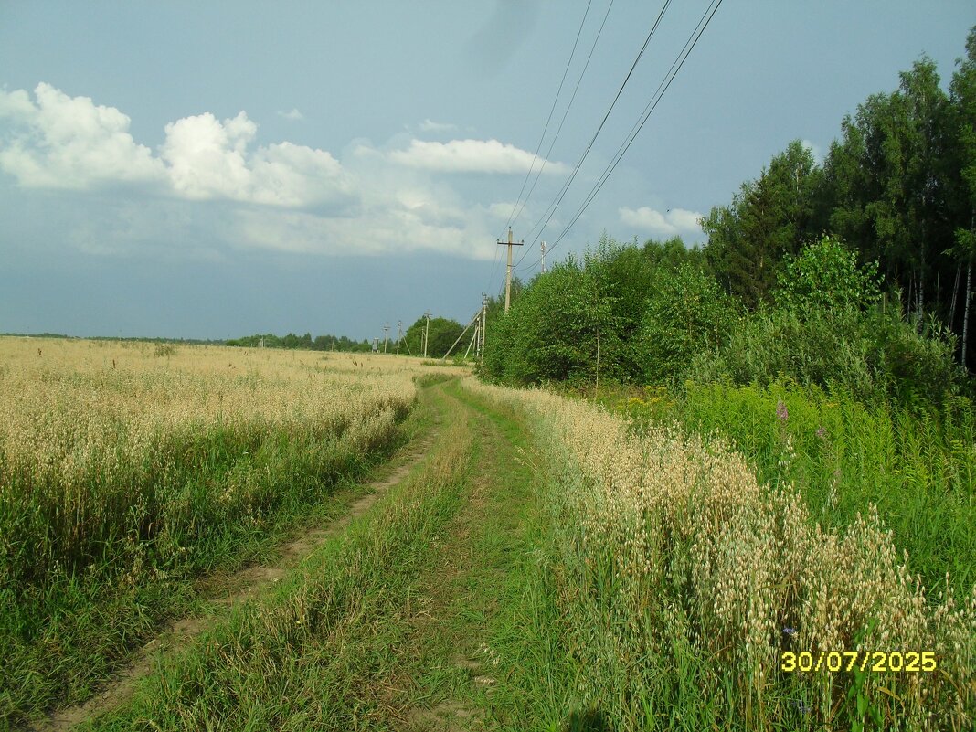 дорога - fogmeadowww m