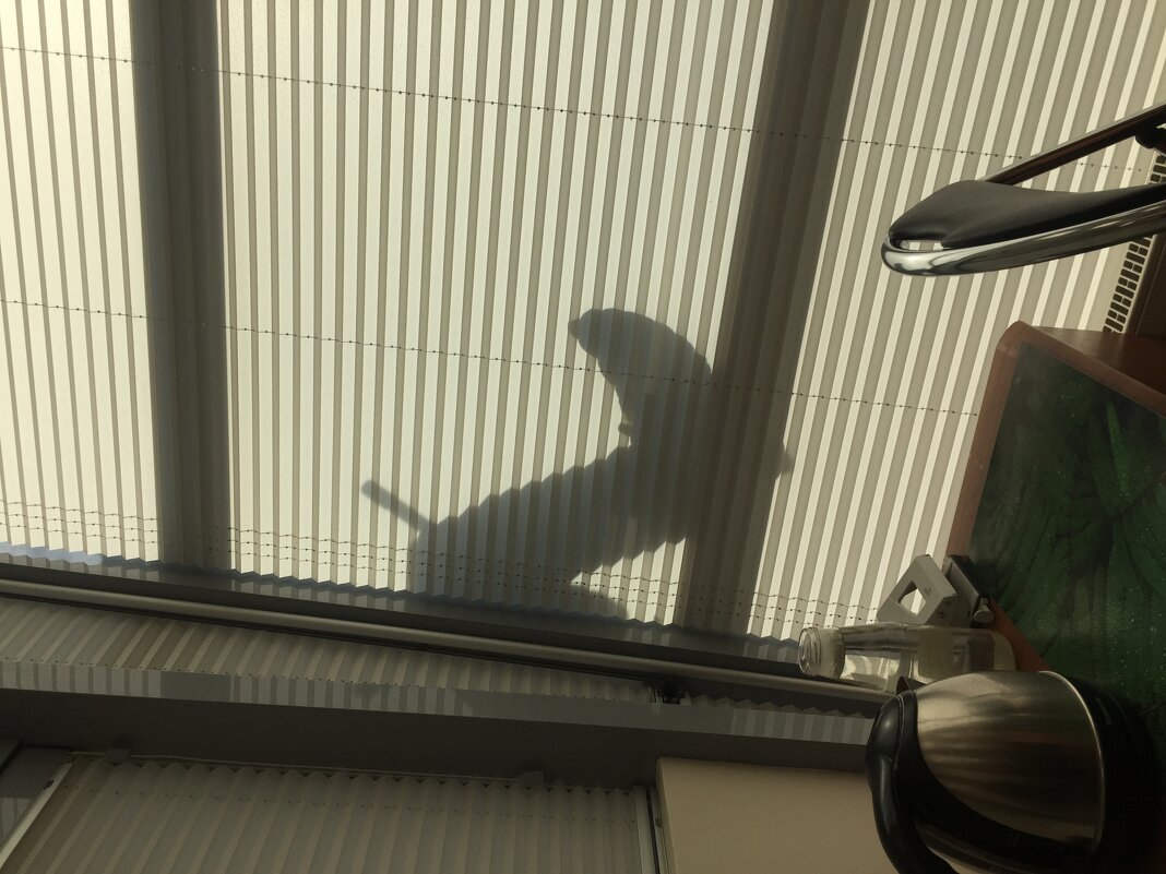 Всего лишь промышленный альпинист моет окна - Ольга Лебедева (Беловласова)