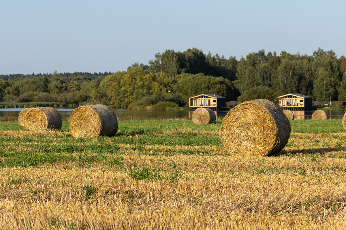 * - k-e-r-g-u-d-u DM