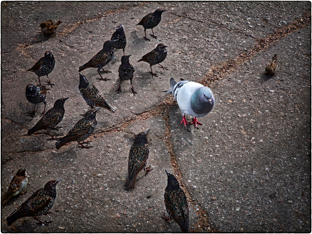 Руководство с секретарём на цеховом собрании - Анатолий ИМХО