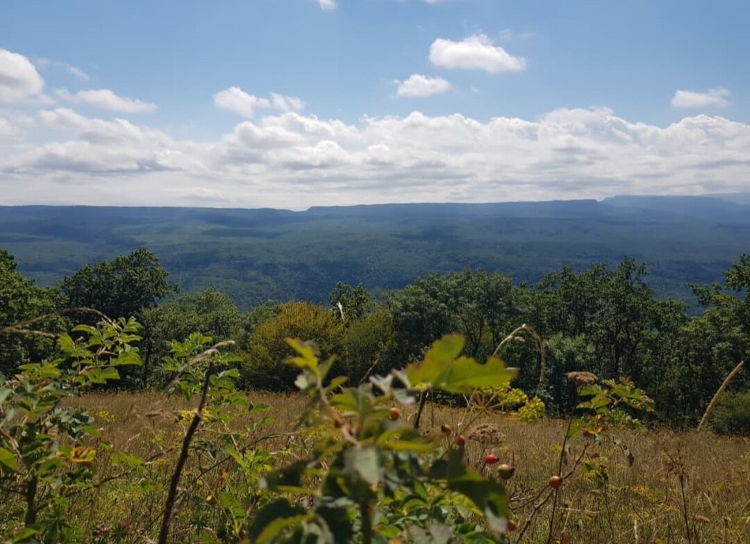 ЛАГО-НАКИ - Tata Wolf