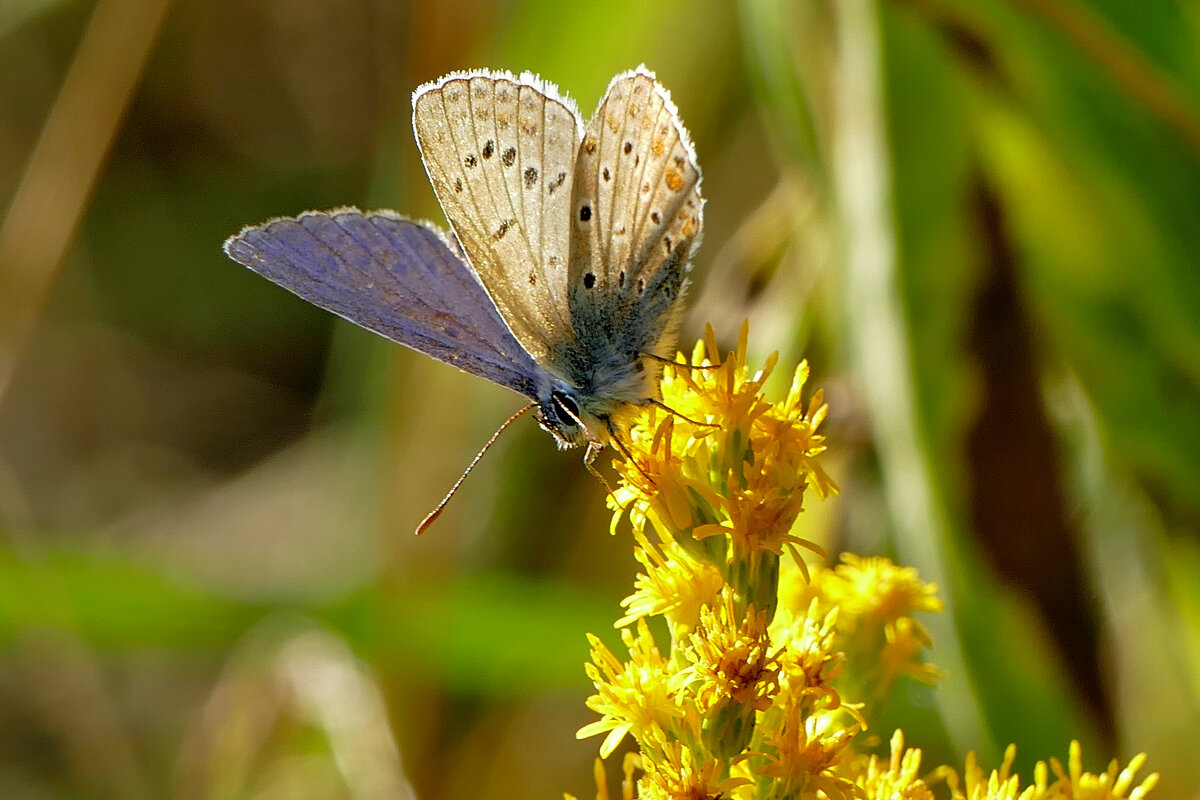 из снятого позавчера 1 - Александр Прокудин из снятого позавчера 1 - Александр Прокудин