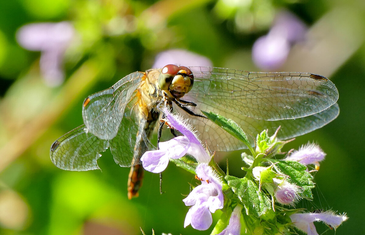 из снятого позавчера 4 - Александр Прокудин из снятого позавчера 4 - Александр Прокудин