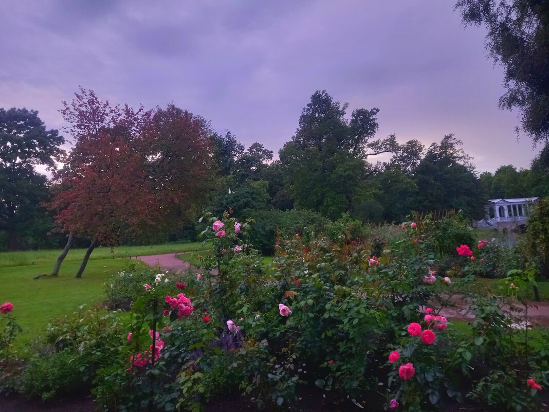 Закат - Сапсан 