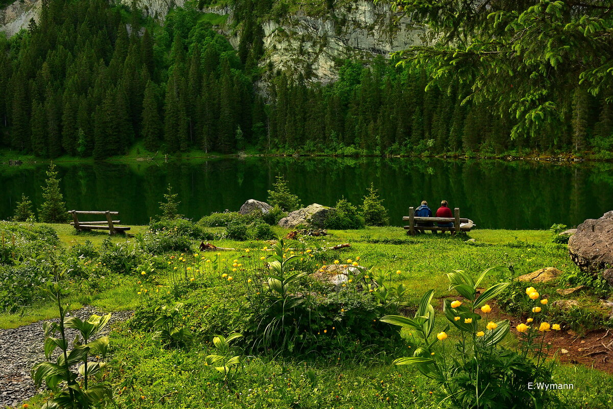 summer - Elena Wymann