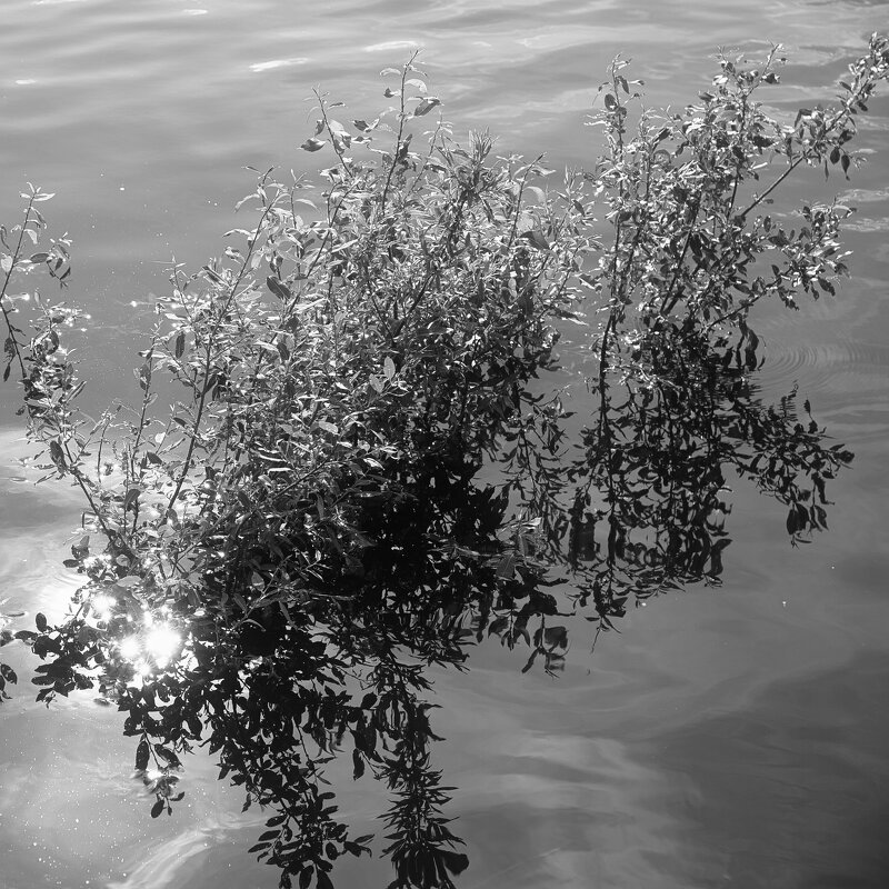 Назва. отсу. - Денис Безногов