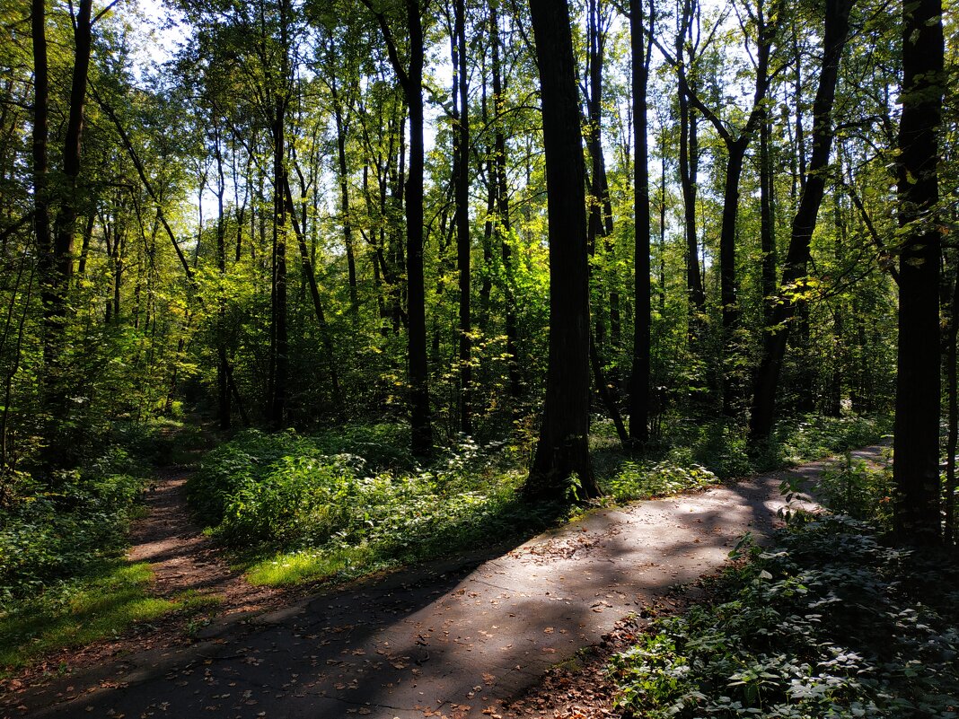 Провожая лето 2025 - Андрей Лукьянов