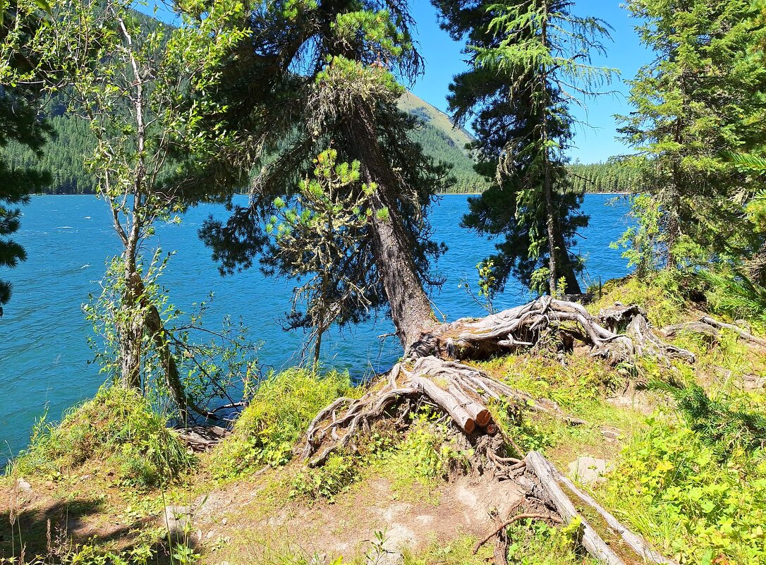 Алтай - Андрей Л. В.