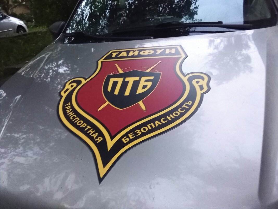 Красавчик нашего  двора - Фотогруппа Весна