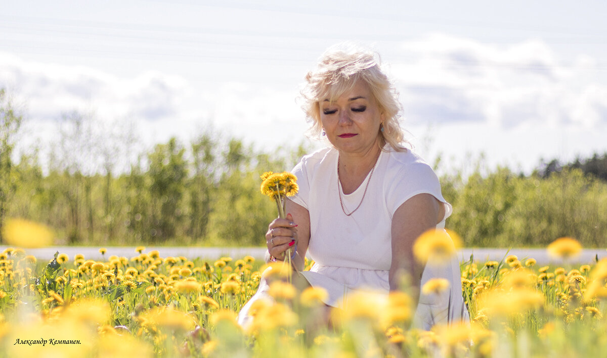 Одуванчики. - Александр Кемпанен Одуванчики. - Александр Кемпанен