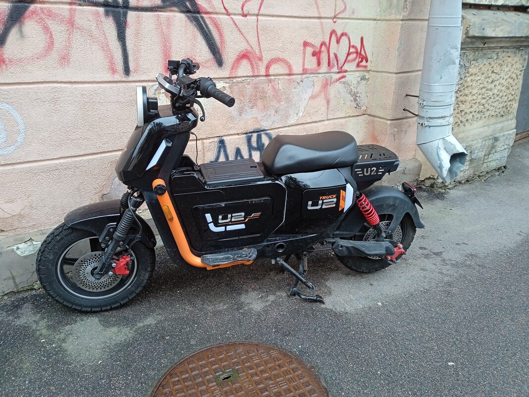 "Электро велик" - Светлана Калмыкова Калмыкова "Электро велик" - Светлана Калмыкова Калмыкова