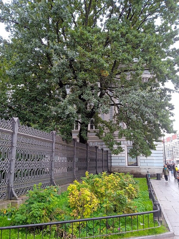 Городской пейзаж. - Светлана Калмыкова Калмыкова