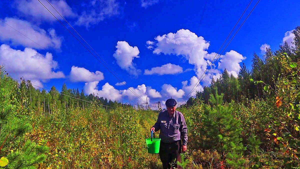 Август...С грибами на Оленьем острове! - Владимир 