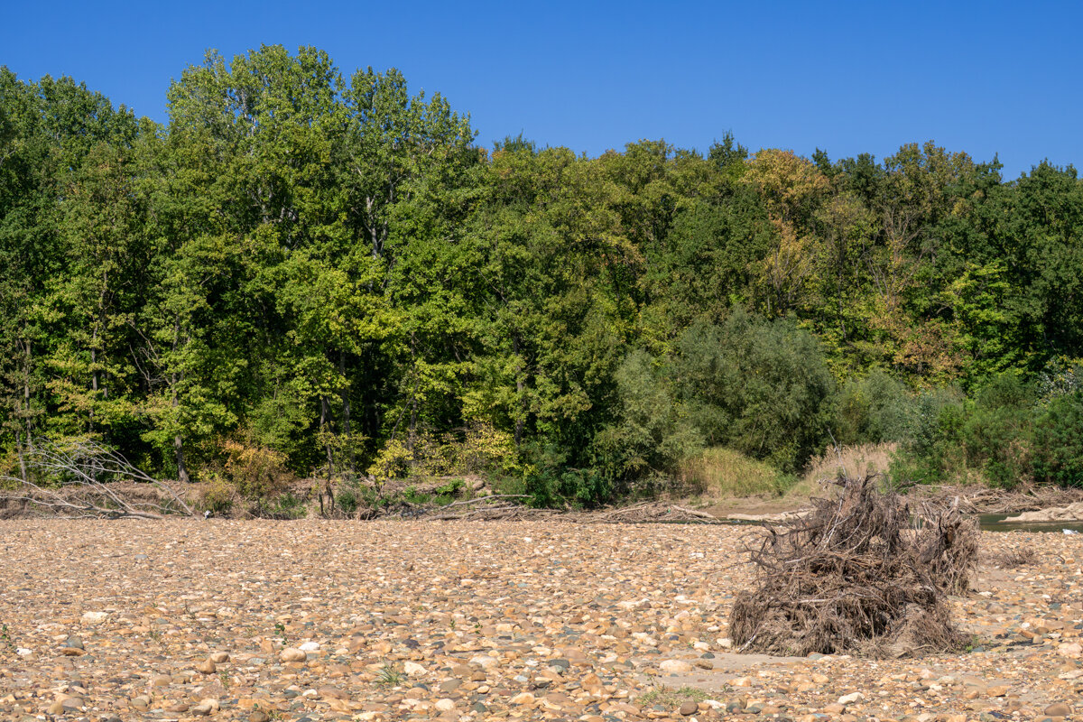 Обмелела река Уруп - Игорь Сикорский