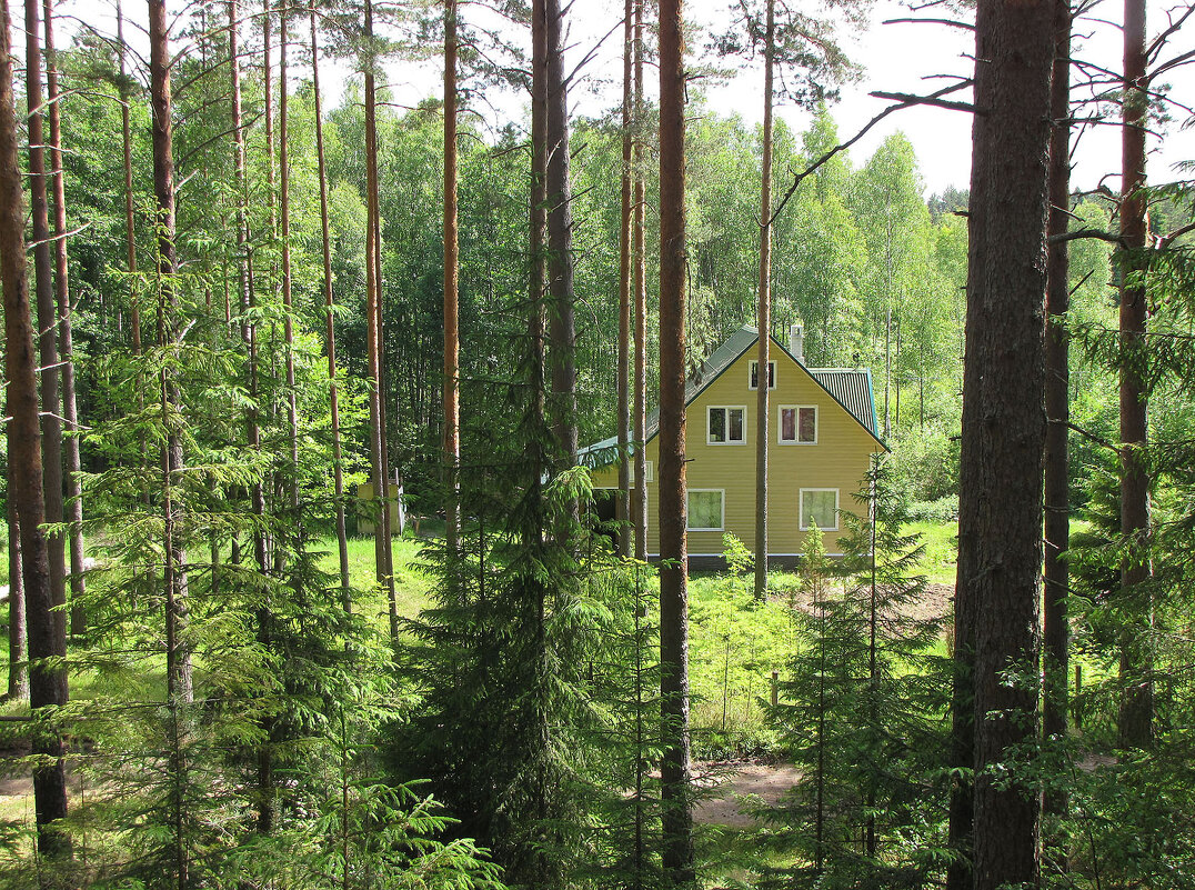 Домик в садоводстве «Сопки» - Александр Ильчевский 