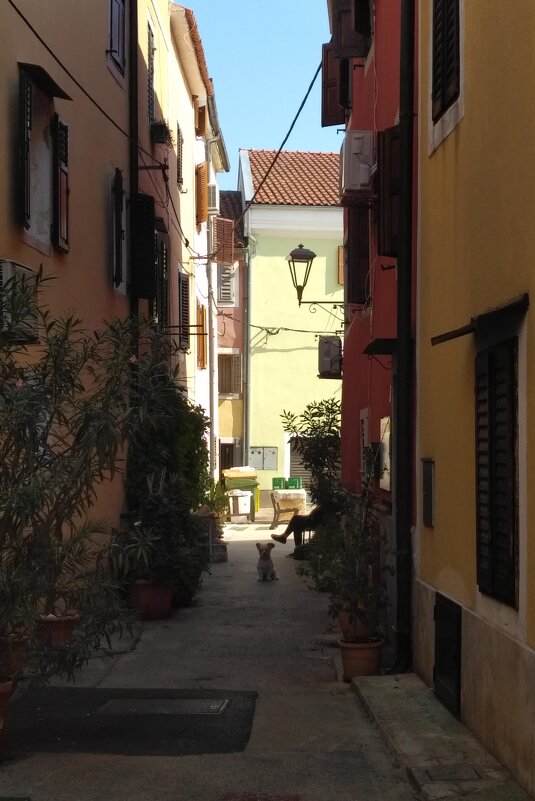 Хорватия - Натали 