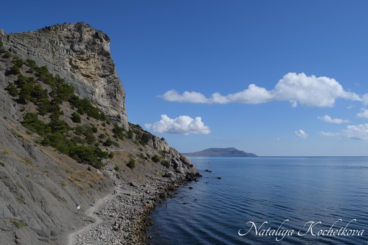 Природа Крыма - Amazing Cosmea