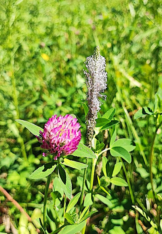 ,,, - Сергей Тимоновский