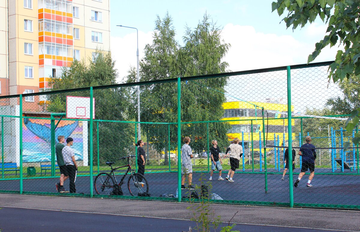 А у нас во дворе - Василий 